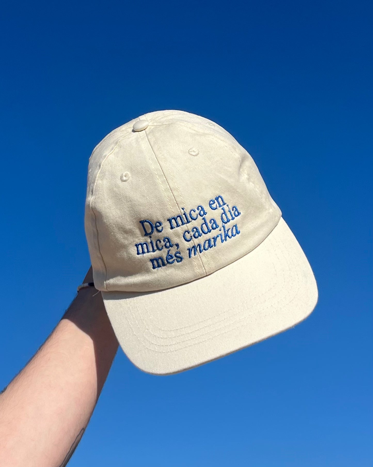 Gorra - De mica en mica, cada dia més marika